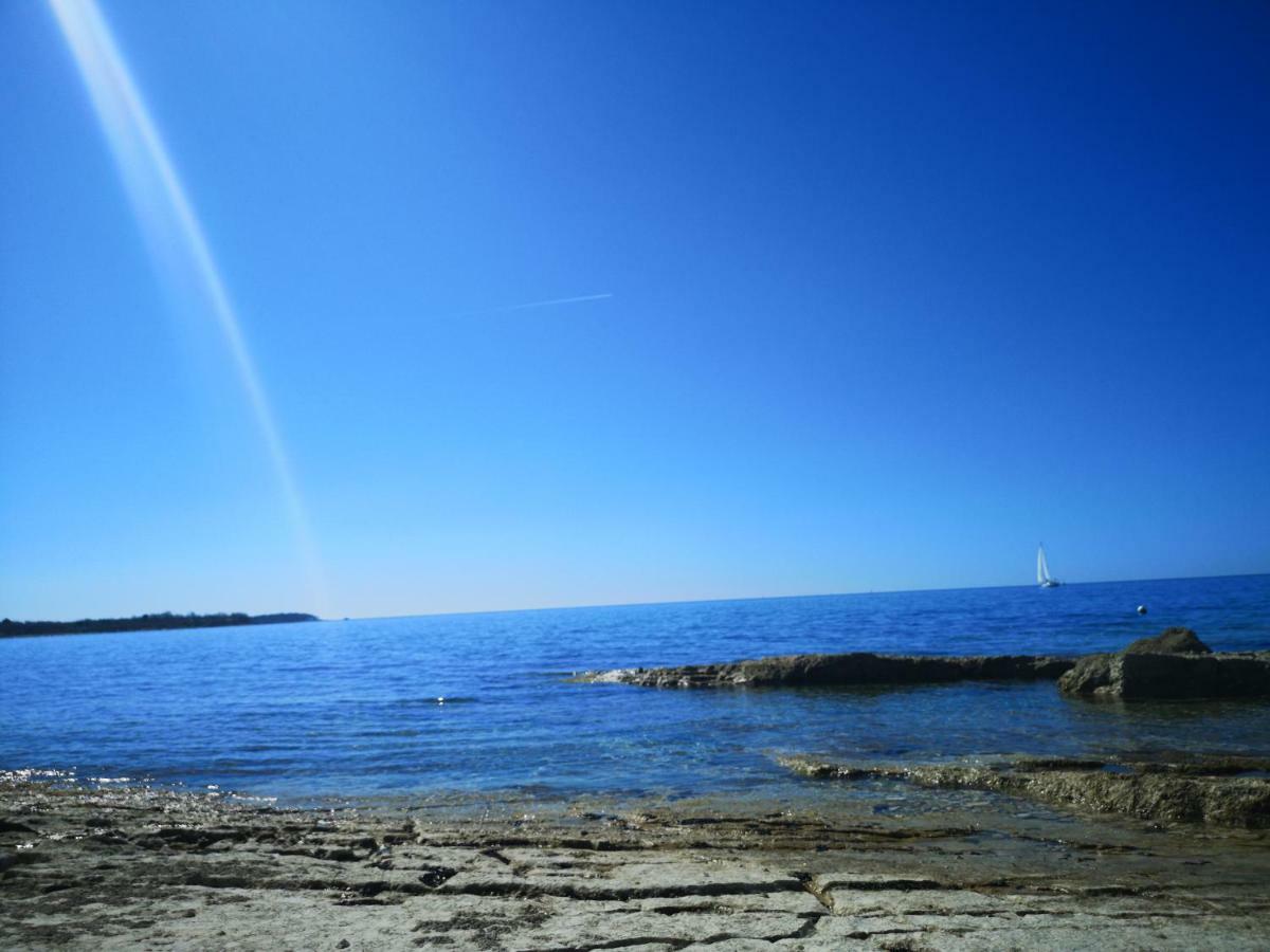 West Coast Mobilhome With Xxl Terrace In Naturist Resort Solaris Fkk Tar-Vabriga Exterior foto